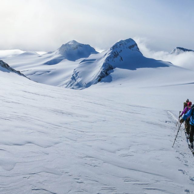 Mt Columbia Ski Mountaineering