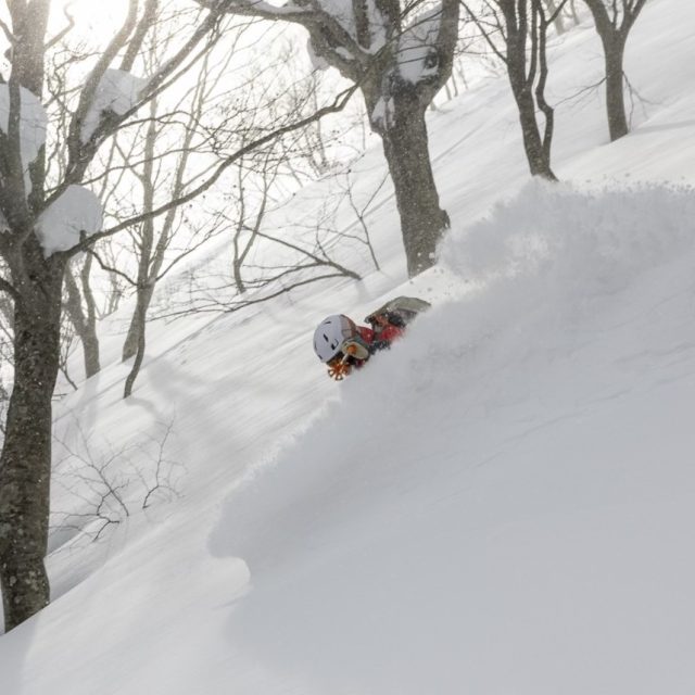 Japan: Aomori Express