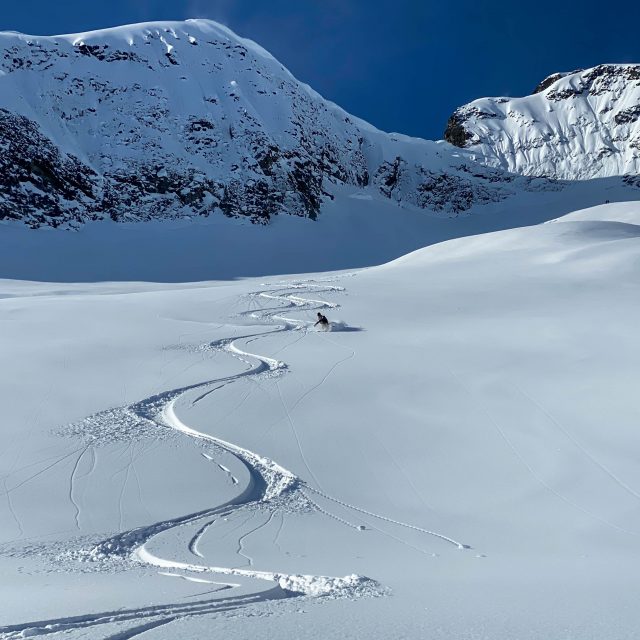 Advanced Avalanche Training
