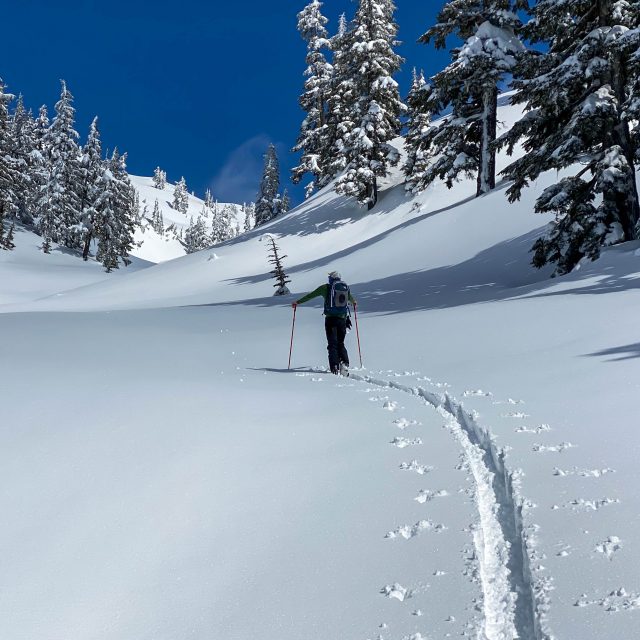 Intro to Backcountry Touring