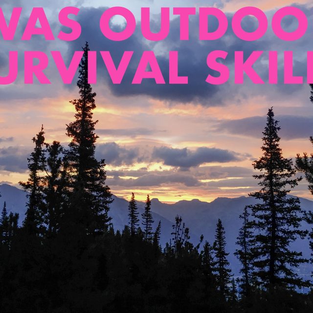 WAS Outdoor Survival Skills